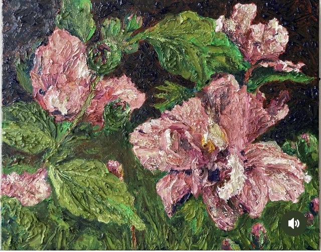 Hibiscus